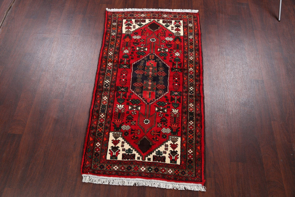 Tribal Hamedan Persian Area Rug 3x6