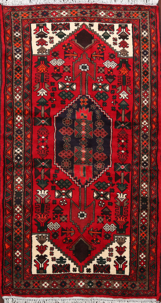 Tribal Hamedan Persian Area Rug 3x6