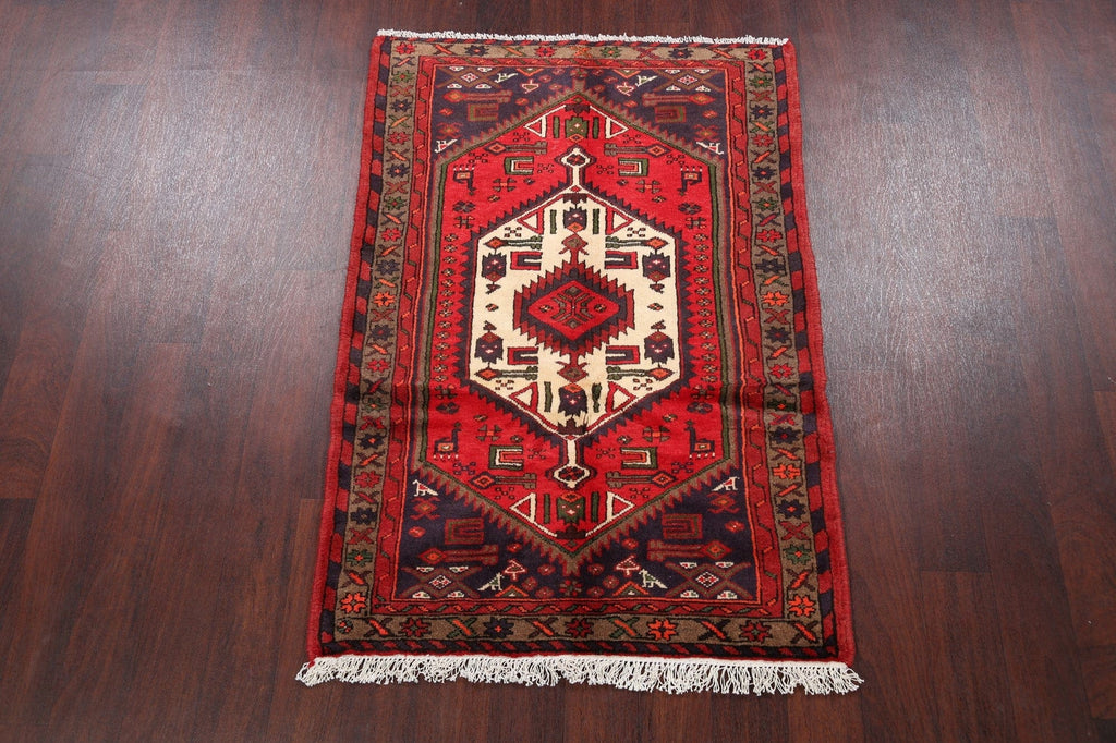 Tribal Hamedan Persian Area Rug 3x5