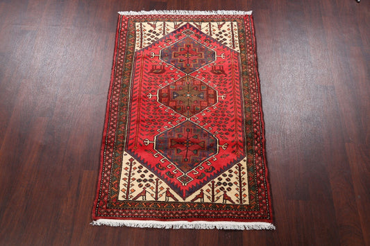 Tribal Hamedan Persian Area Rug 3x5