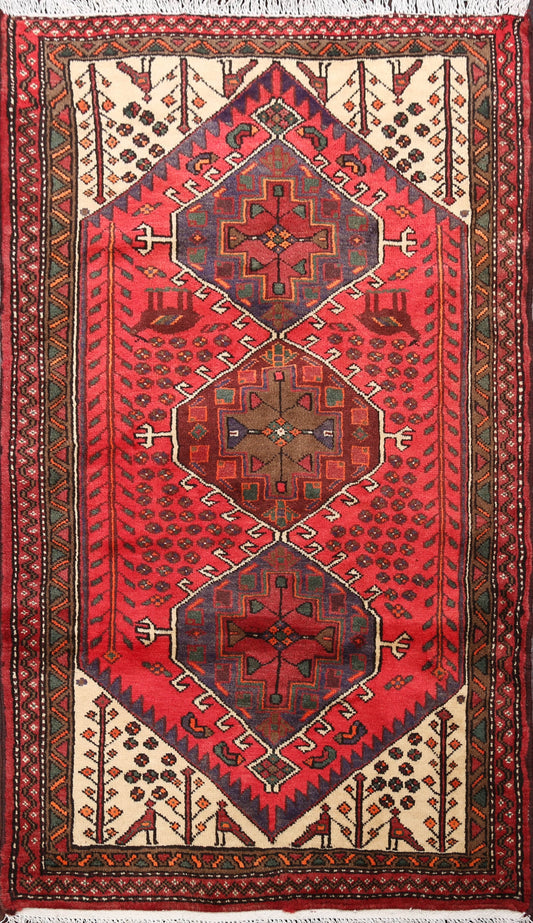 Tribal Hamedan Persian Area Rug 3x5