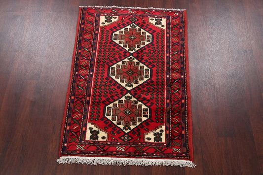 Geometric Hamedan Persian Area Rug 3x4