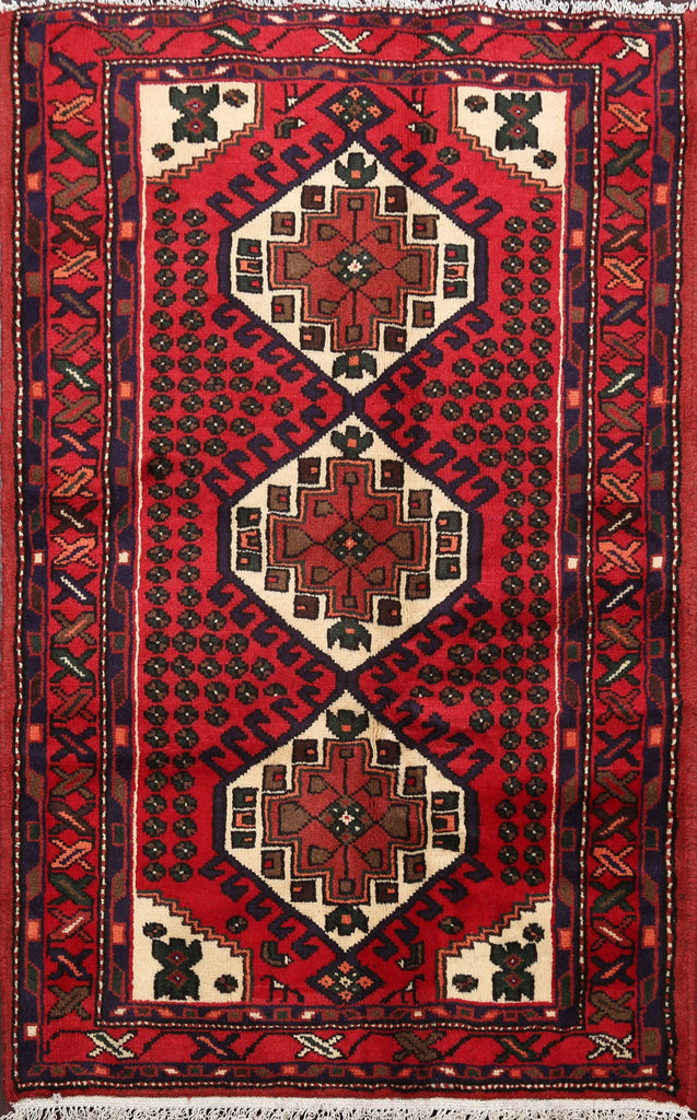 Geometric Hamedan Persian Area Rug 3x4