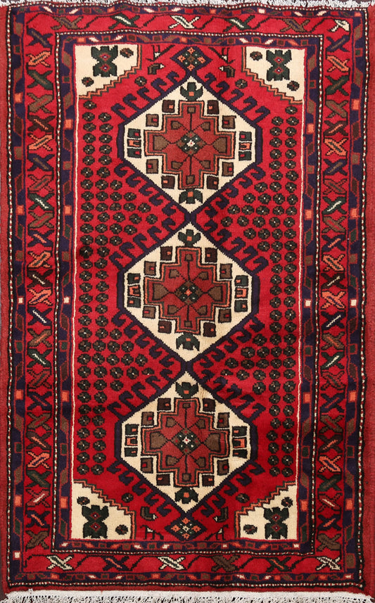 Geometric Hamedan Persian Area Rug 3x4