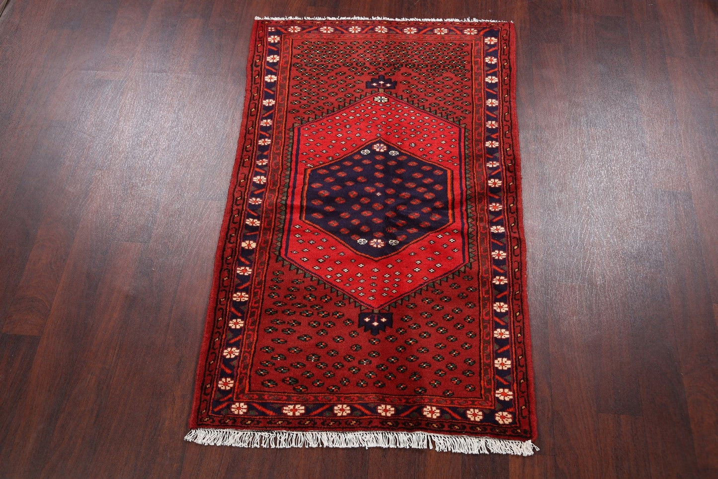 Geometric Hamedan Persian Area Rug 3x5