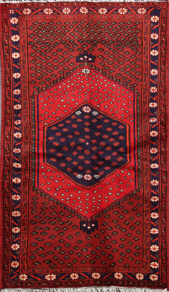 Geometric Hamedan Persian Area Rug 3x5