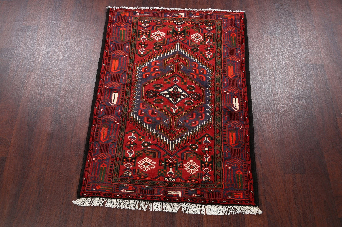 Geometric Hamedan Persian Area Rug 3x5