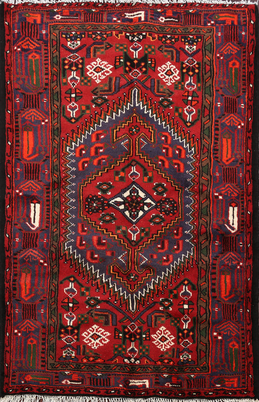 Geometric Hamedan Persian Area Rug 3x5