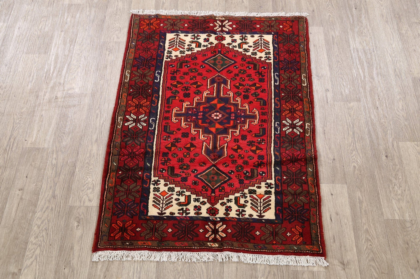 Geometric Hamedan Persian Area Rug 3x5