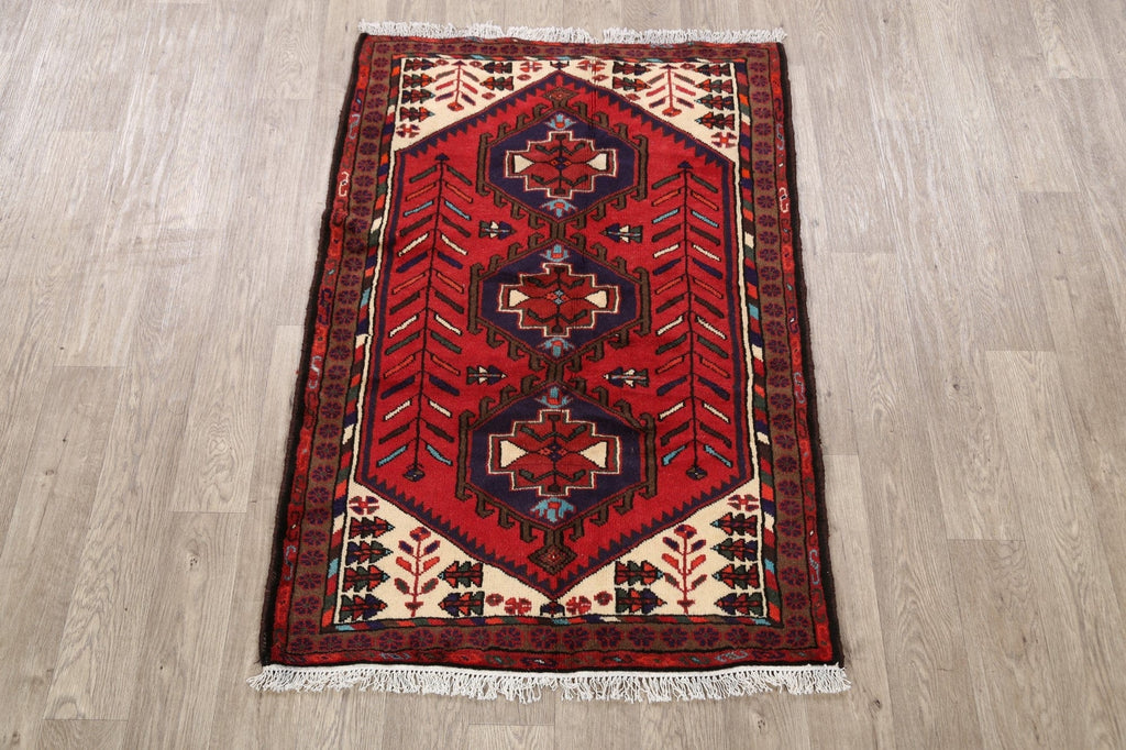 Geometric Hamedan Persian Area Rug 3x5