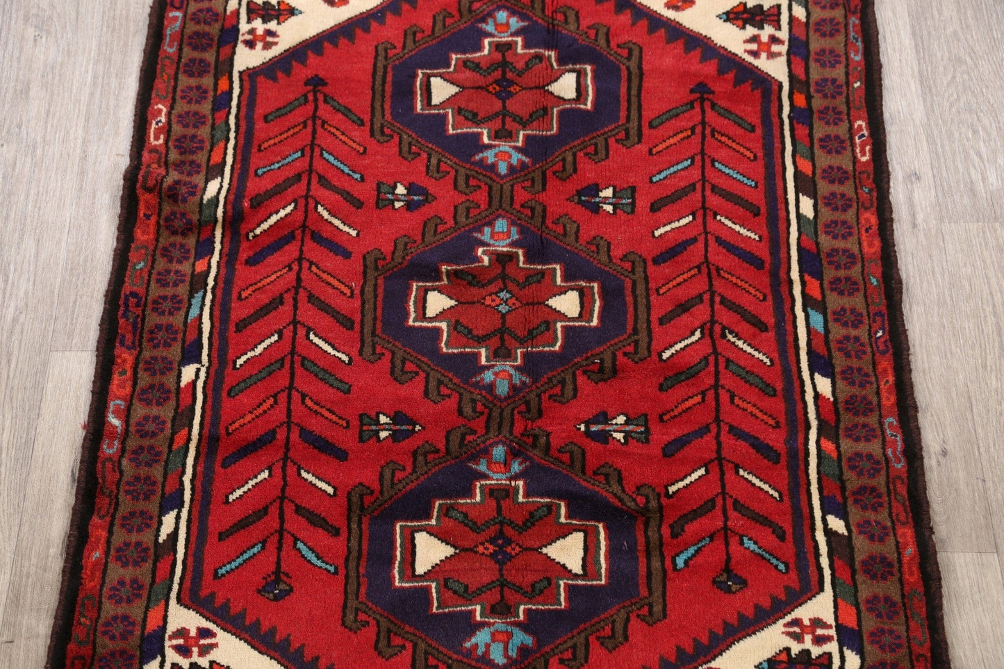 Geometric Hamedan Persian Area Rug 3x5