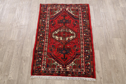 Geometric Hamedan Persian Area Rug 3x5