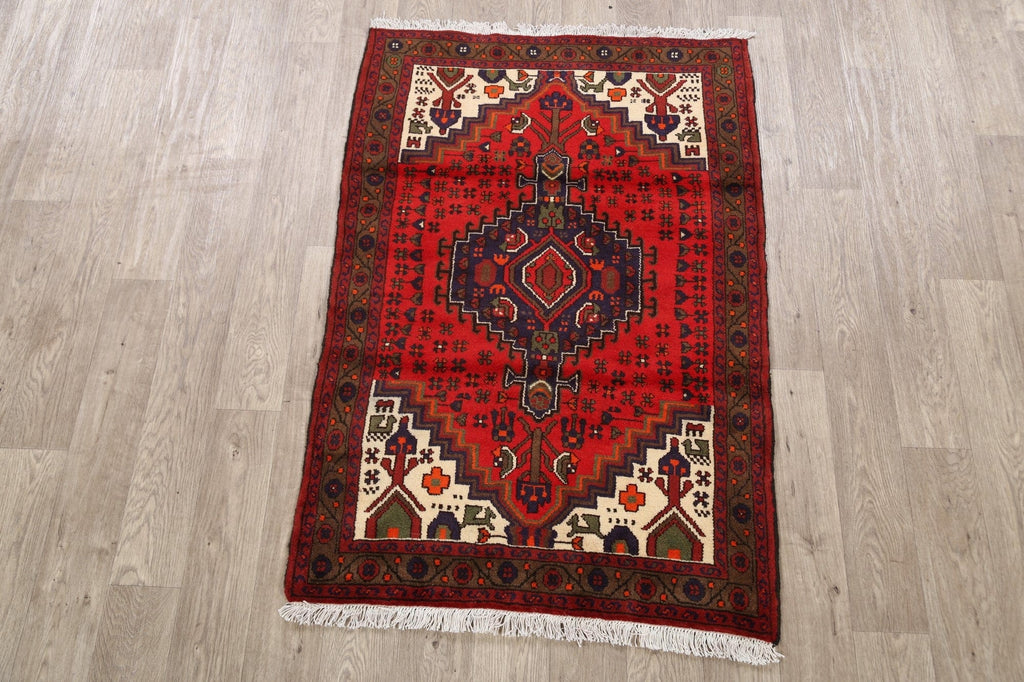 Geometric Hamedan Persian Area Rug 3x5