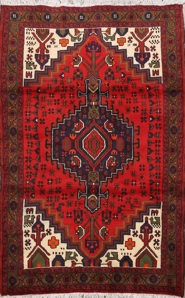 Geometric Hamedan Persian Area Rug 3x5