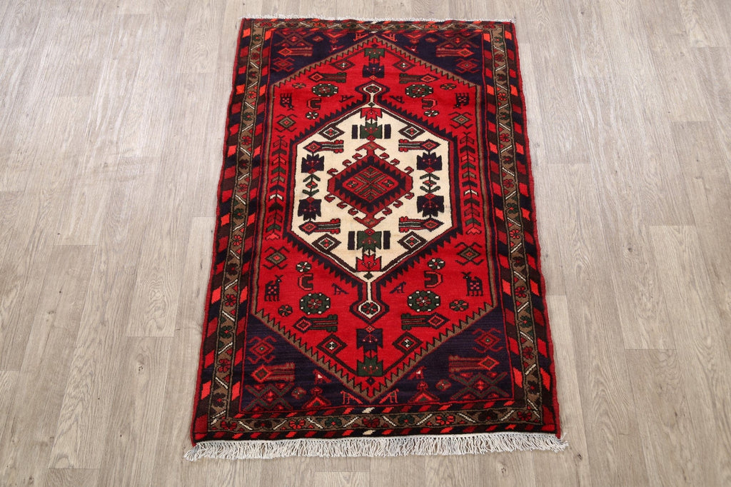 Tribal Hamedan Persian Area Rug 3x5