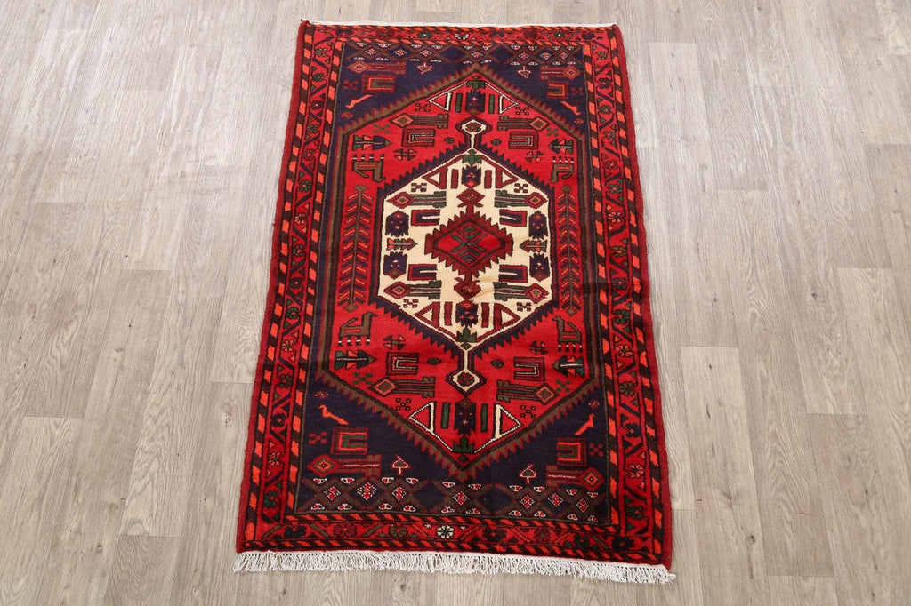 Tribal Hamedan Persian Area Rug 3x5