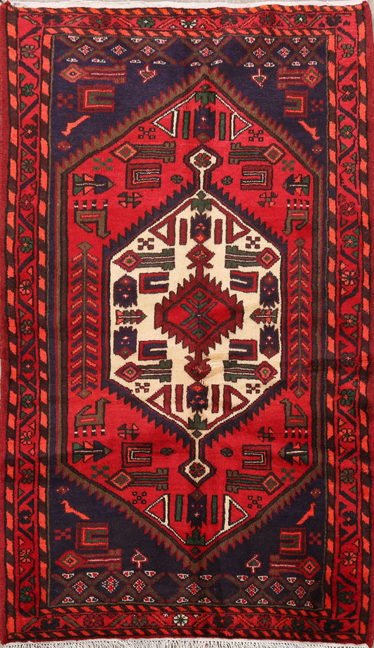 Tribal Hamedan Persian Area Rug 3x5