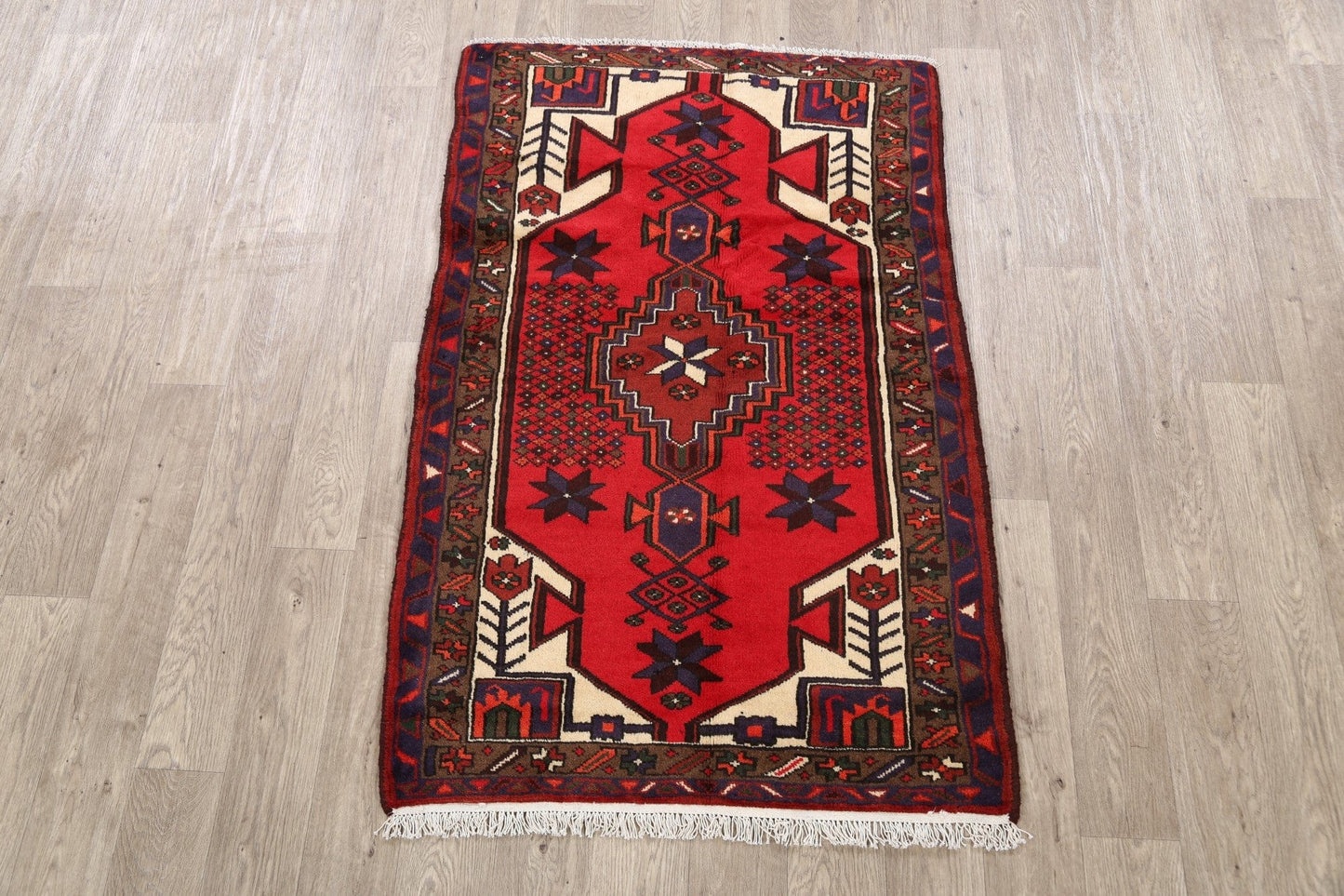 Geometric Hamedan Persian Area Rug 3x5