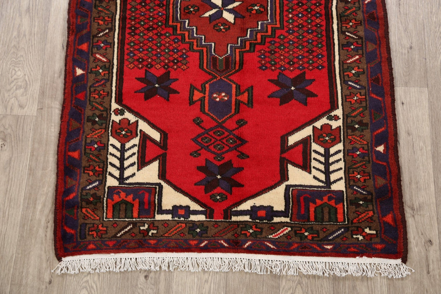 Geometric Hamedan Persian Area Rug 3x5