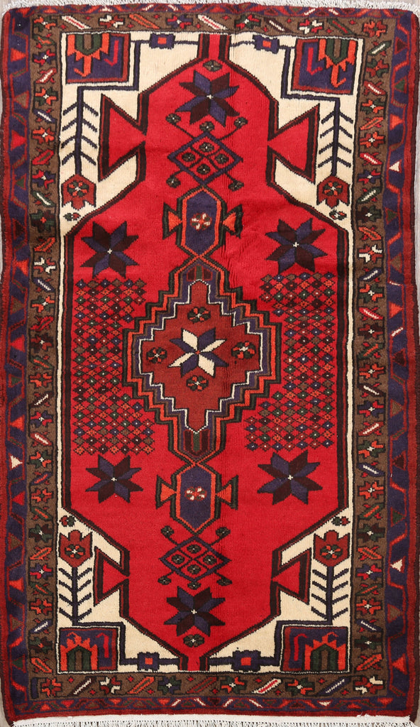 Geometric Hamedan Persian Area Rug 3x5