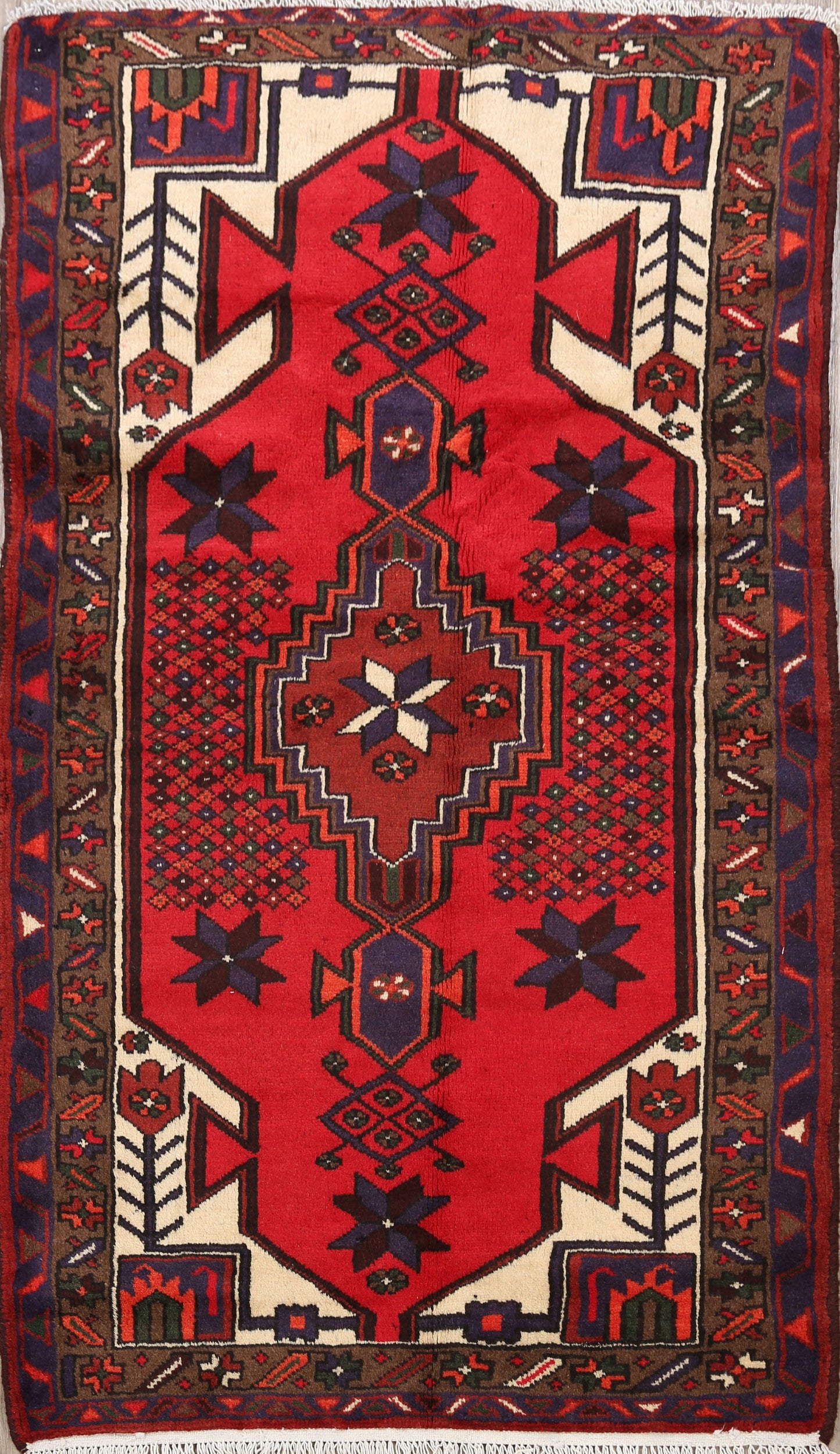 Geometric Hamedan Persian Area Rug 3x5