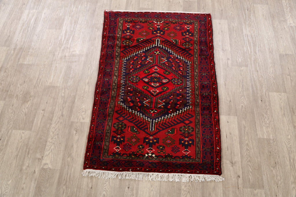 Geometric Hamedan Persian Area Rug 3x5