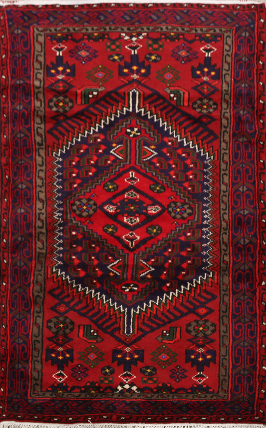 Geometric Hamedan Persian Area Rug 3x5