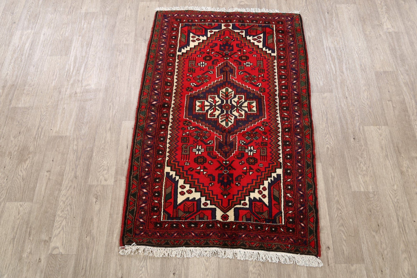 Geometric Hamedan Persian Area Rug 3x5