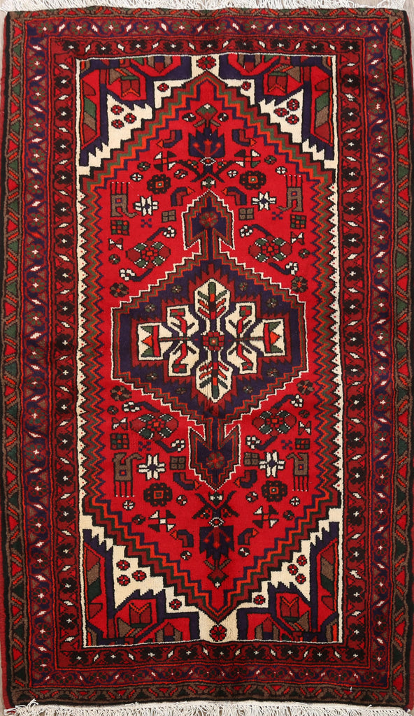 Geometric Hamedan Persian Area Rug 3x5