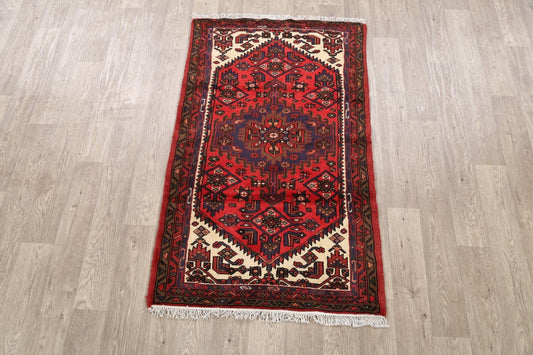 Geometric Hamedan Persian Area Rug 3x5