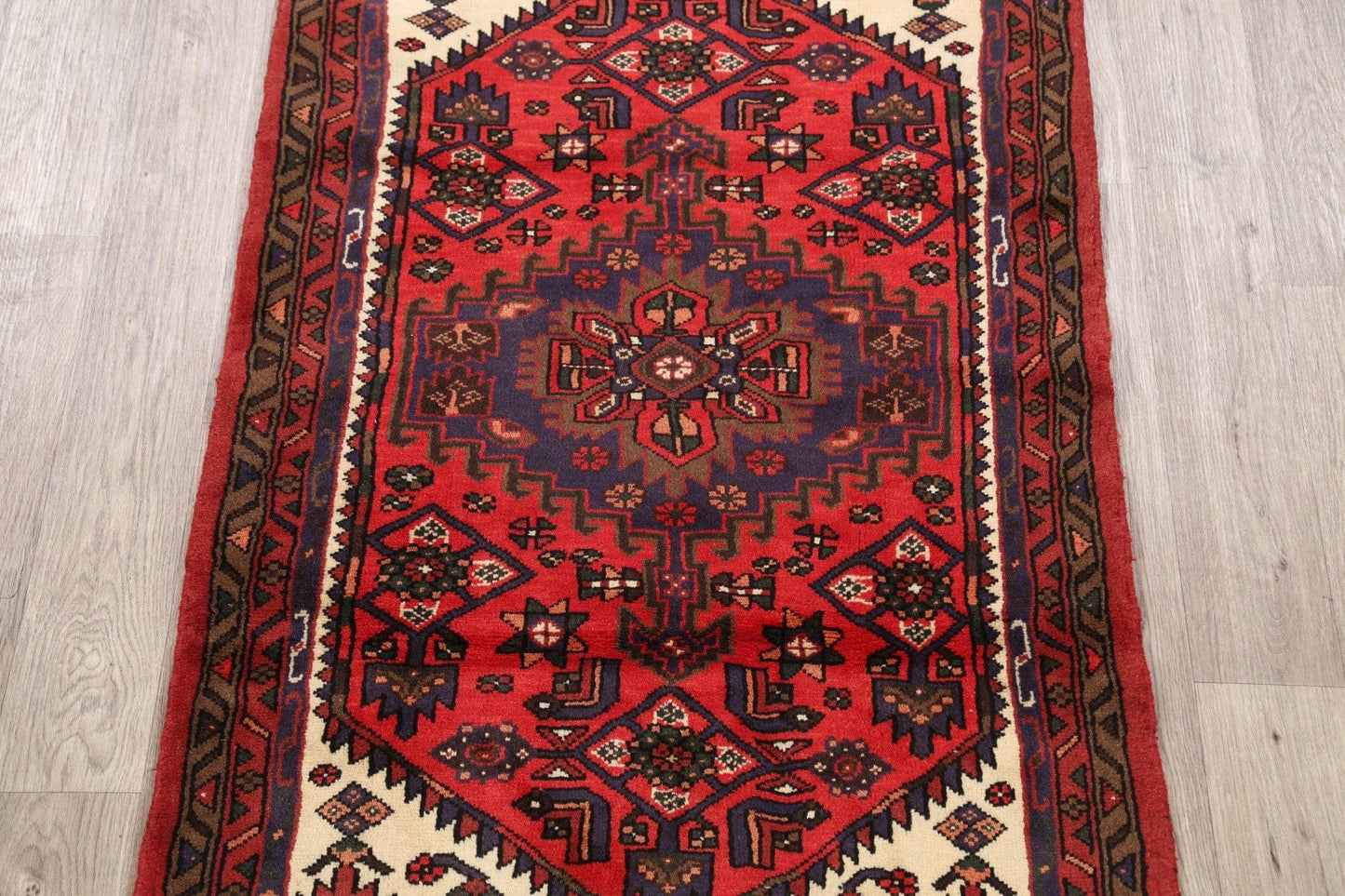 Geometric Hamedan Persian Area Rug 3x5