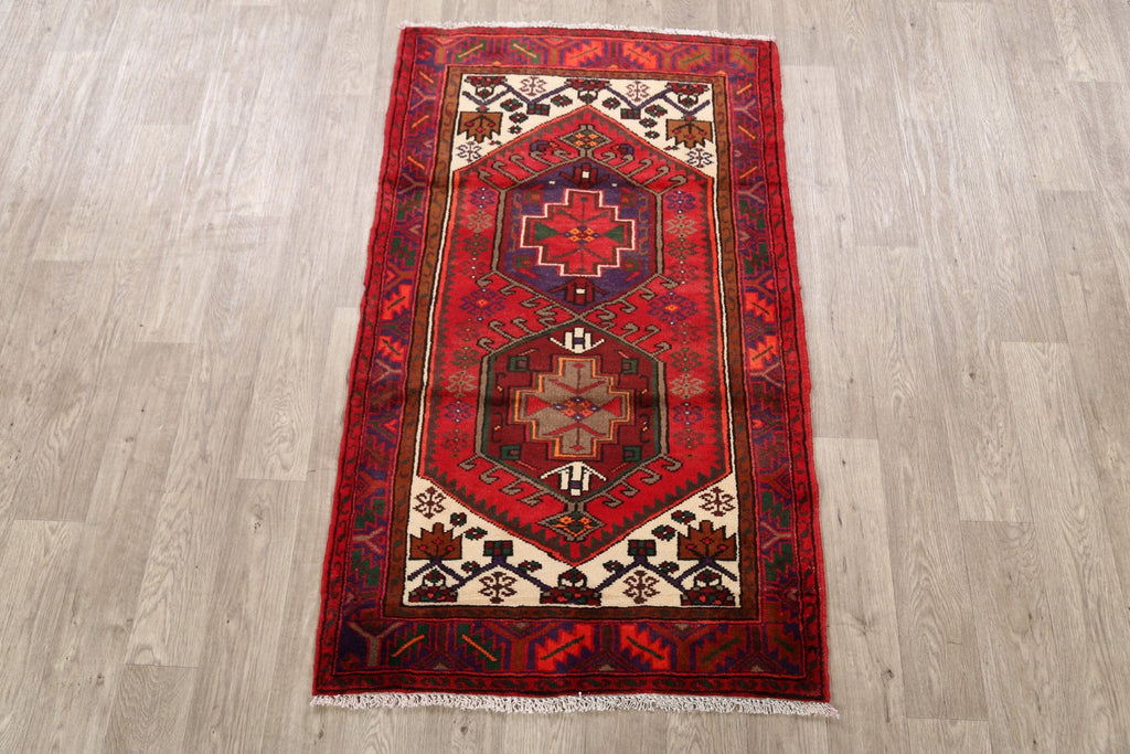 Geometric Hamedan Persian Area Rug 3x5