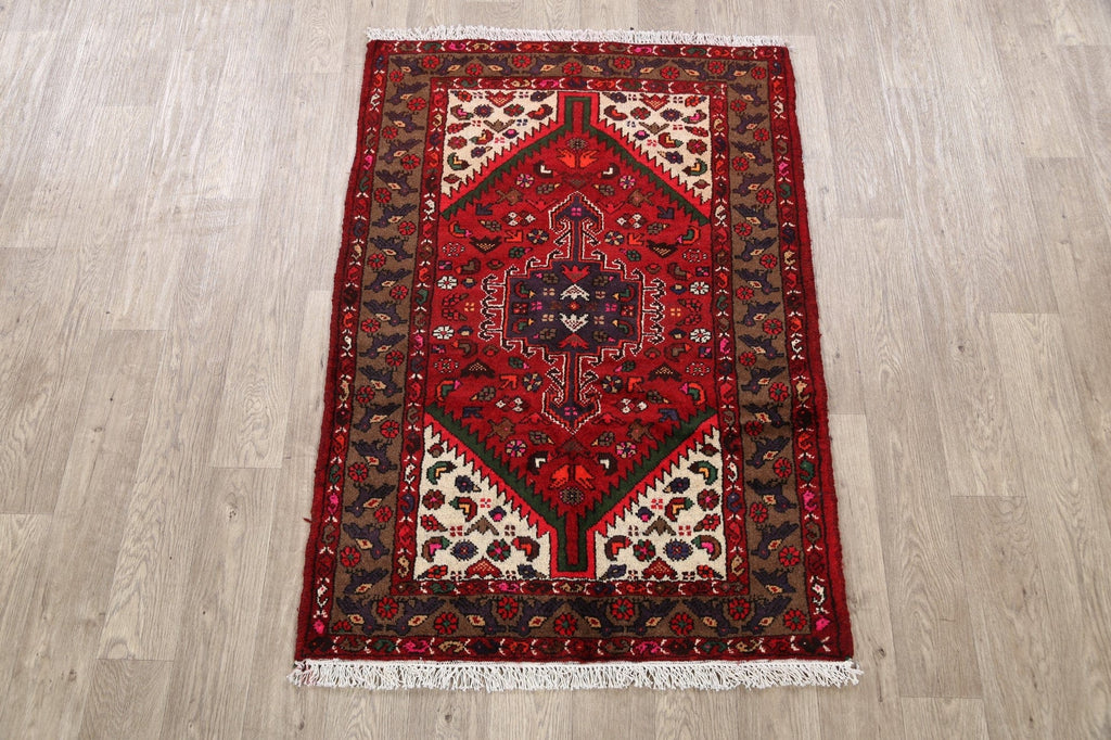 Tribal Hamedan Persian Area Rug 3x5