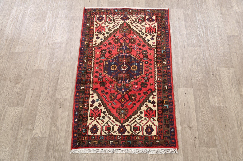 Tribal Hamedan Persian Area Rug 3x5