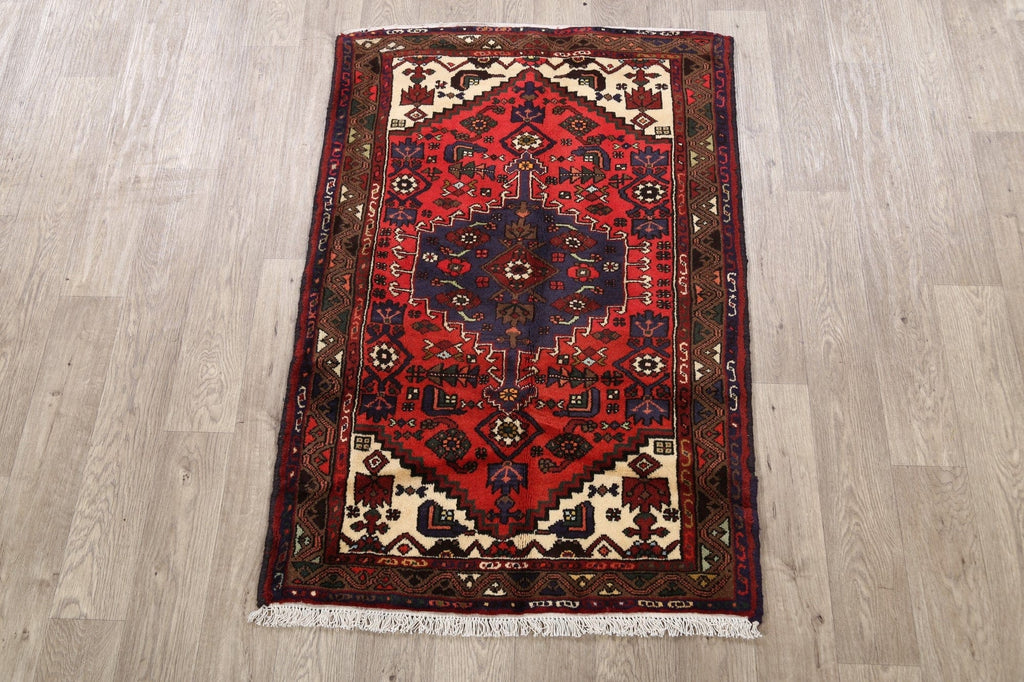 Tribal Hamedan Persian Area Rug 3x5