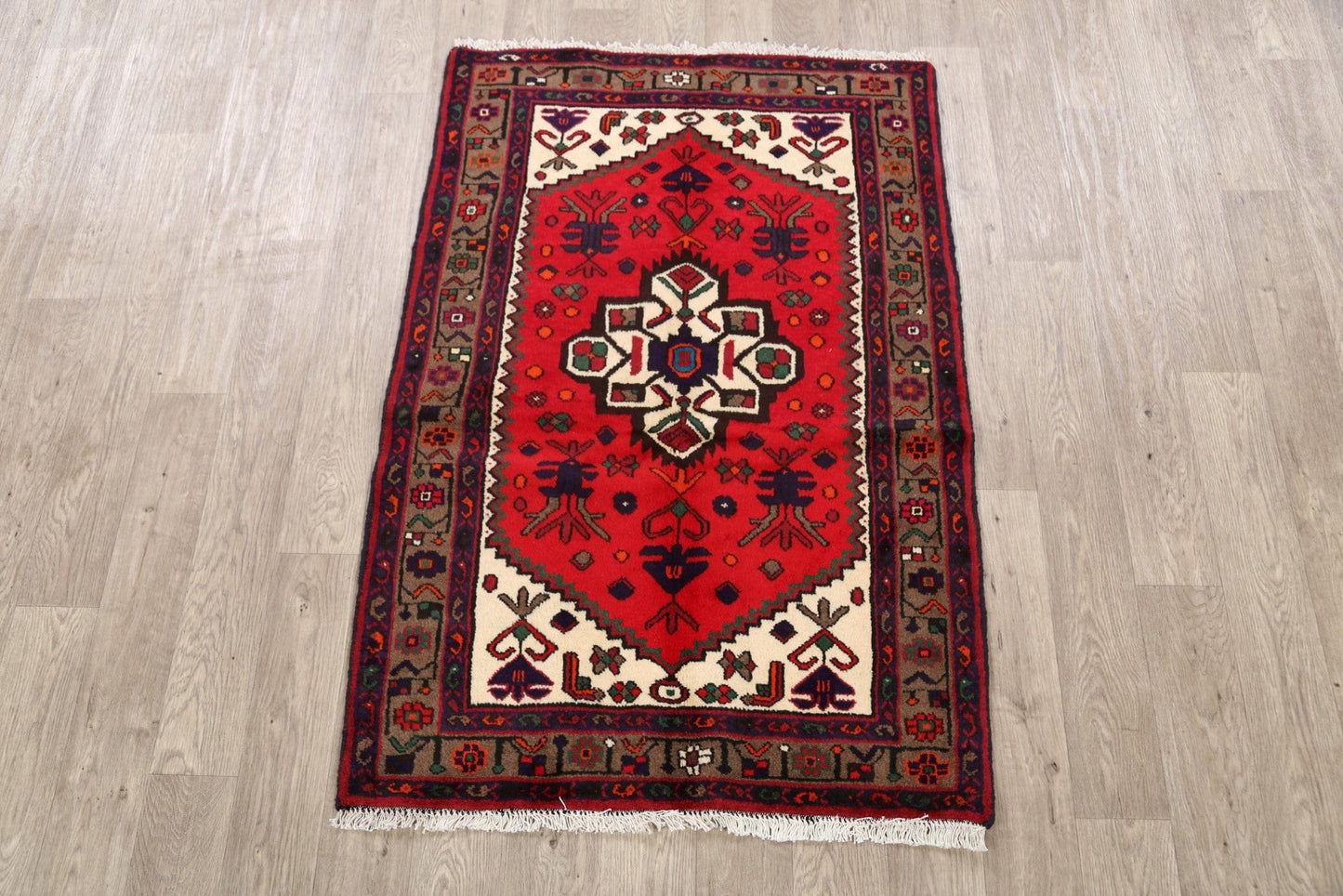 Geometric Hamedan Persian Area Rug 3x5