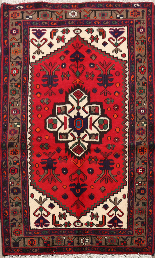 Geometric Hamedan Persian Area Rug 3x5