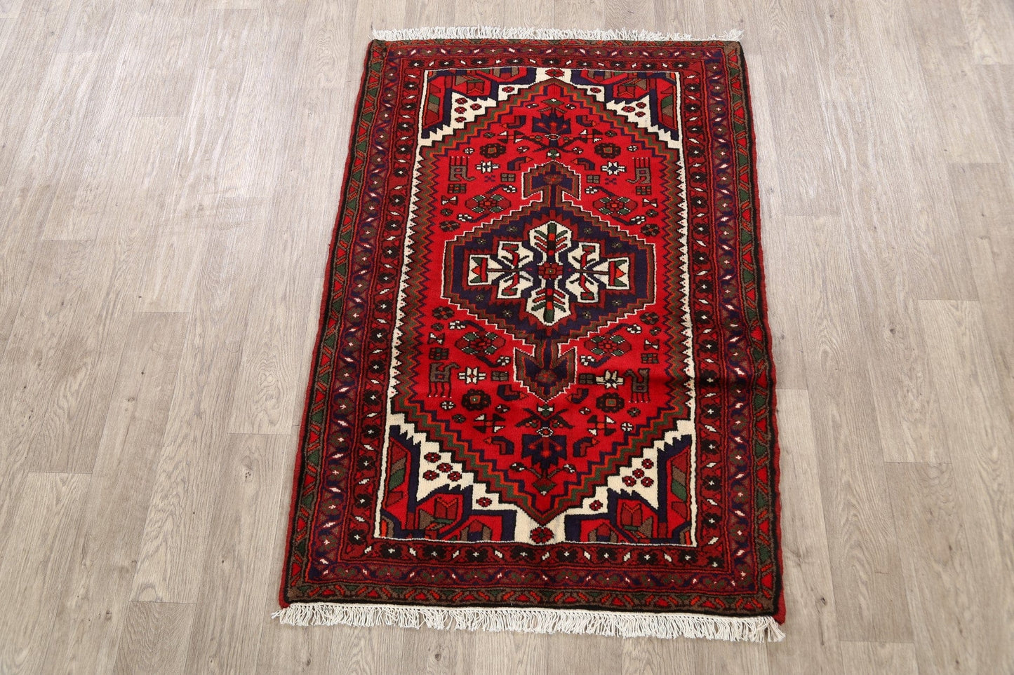 Geometric Hamedan Persian Area Rug 3x5