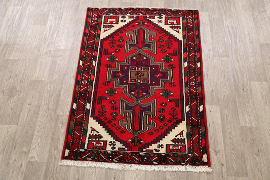 Geometric Hamedan Persian Area Rug 4x5