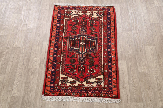 Geometric Hamedan Persian Area Rug 3x5