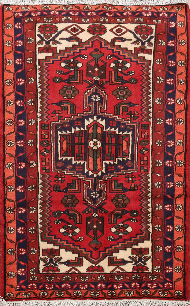 Geometric Hamedan Persian Area Rug 3x5