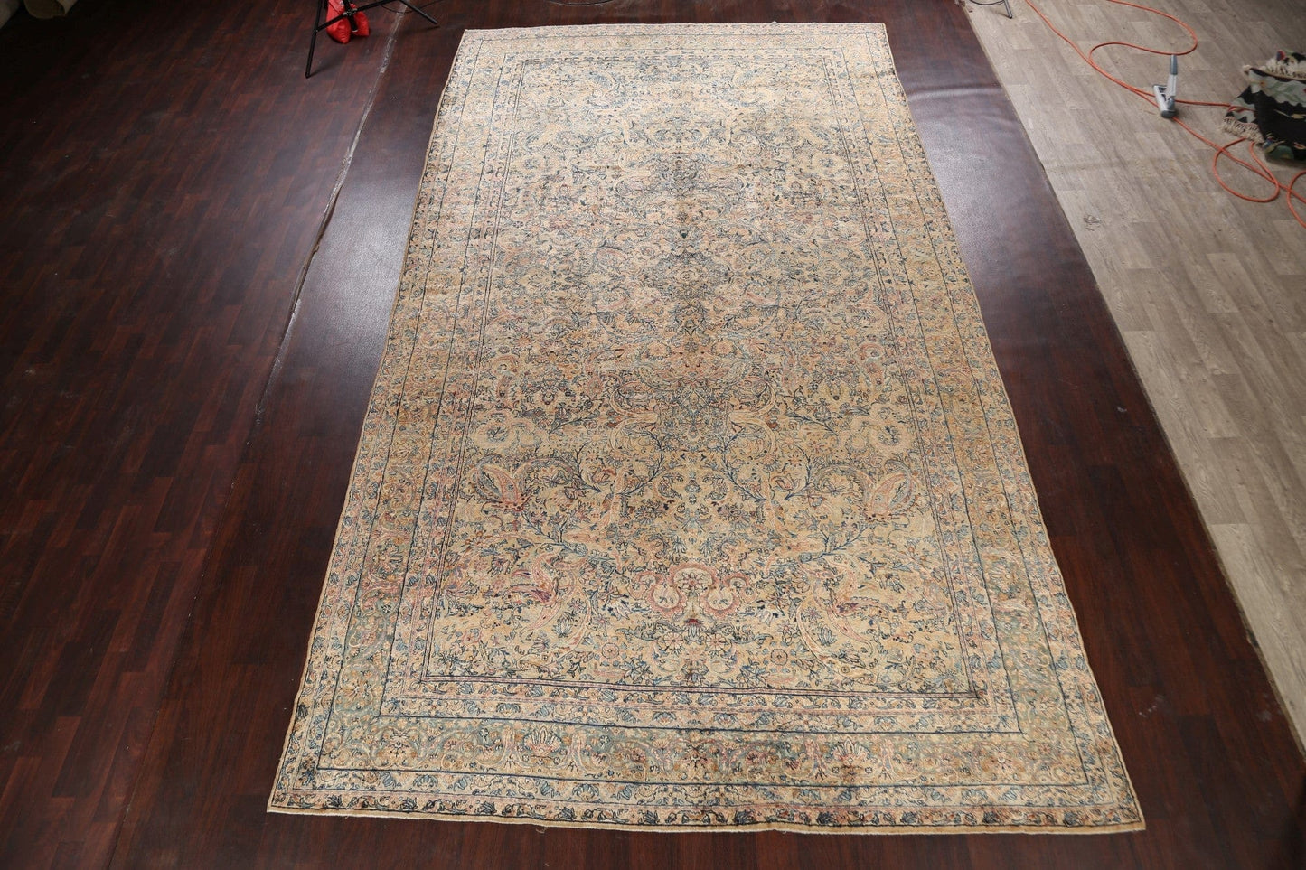 Large Vegetable Dye Antique Kerman Lavar Persian Rug 9x16