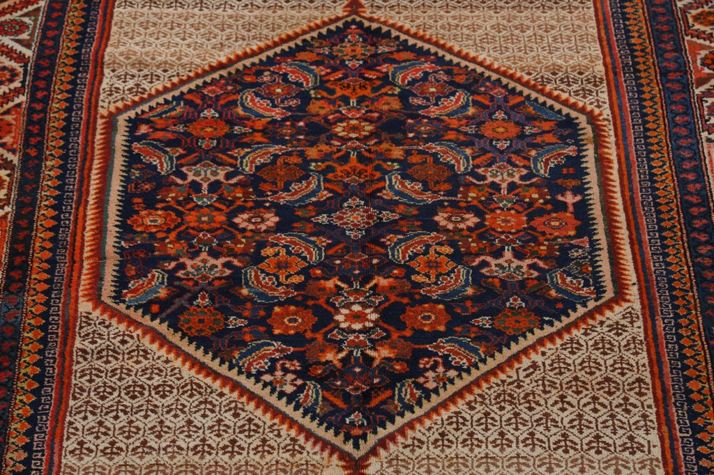 Pre-1900 Antique Vegetable Dye Malayer Persian Area Rug 6x13