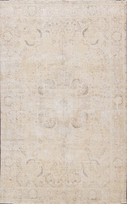 Muted Distressed Tabriz Persian Area Rug 6x10