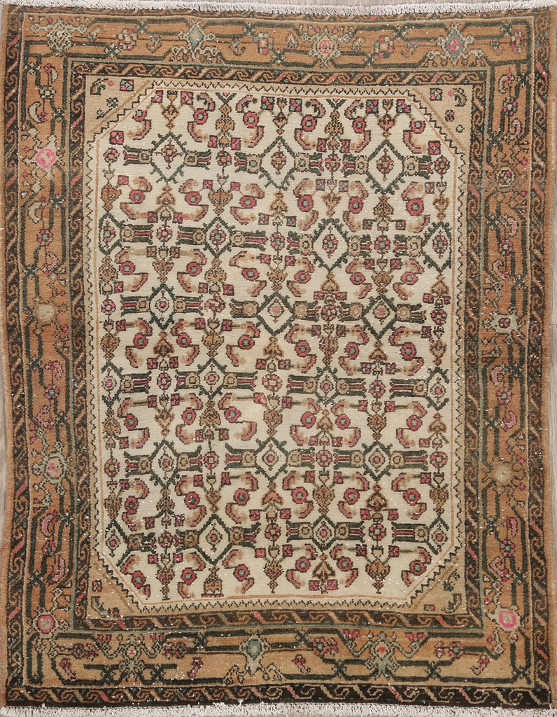 Geometric Malayer Persian Area Rug 3x4