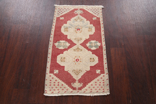 Oushak Oriental Area Rug 2x3