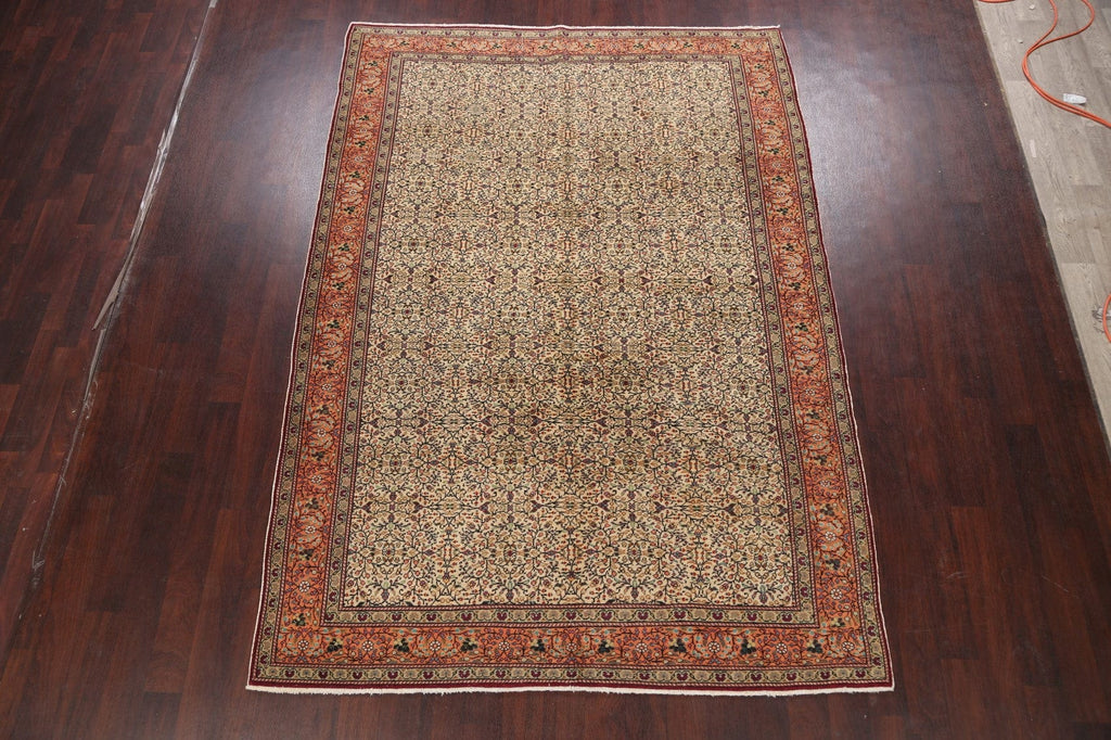 Anatolian Oriental Area Rug 7x10