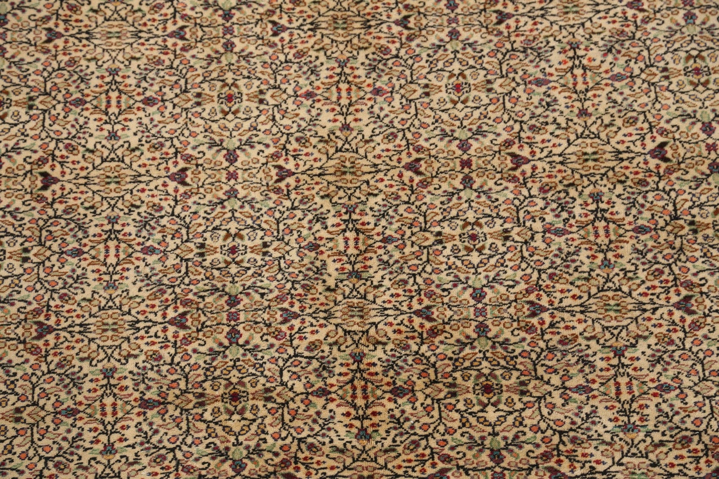 Anatolian Oriental Area Rug 7x10