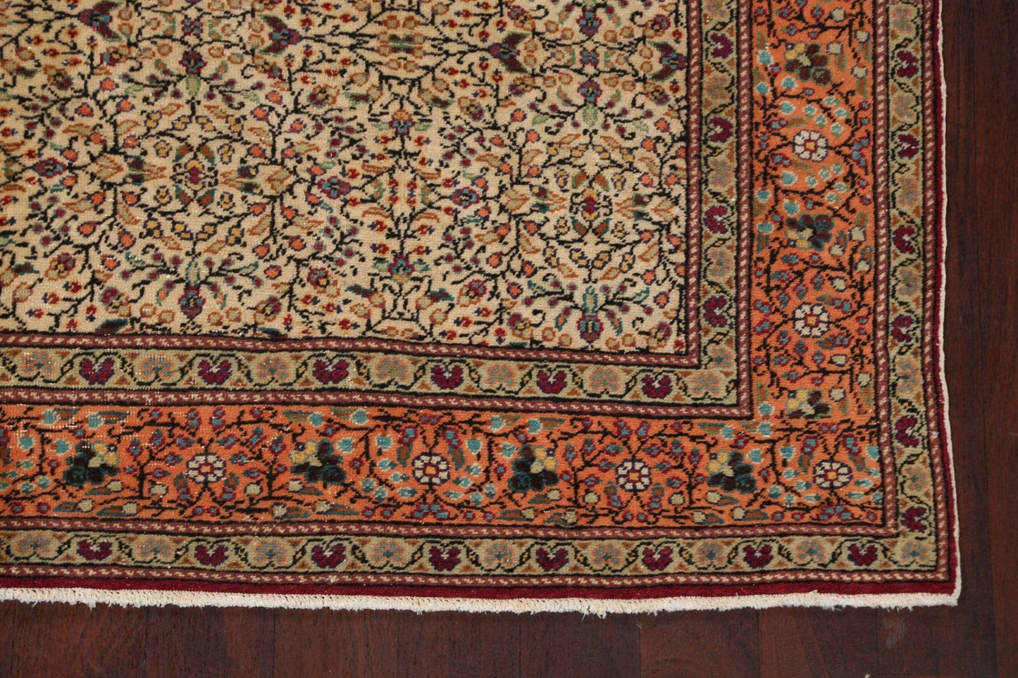 Anatolian Oriental Area Rug 7x10