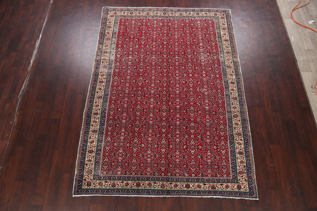 Anatolian Oriental Area Rug 7x9